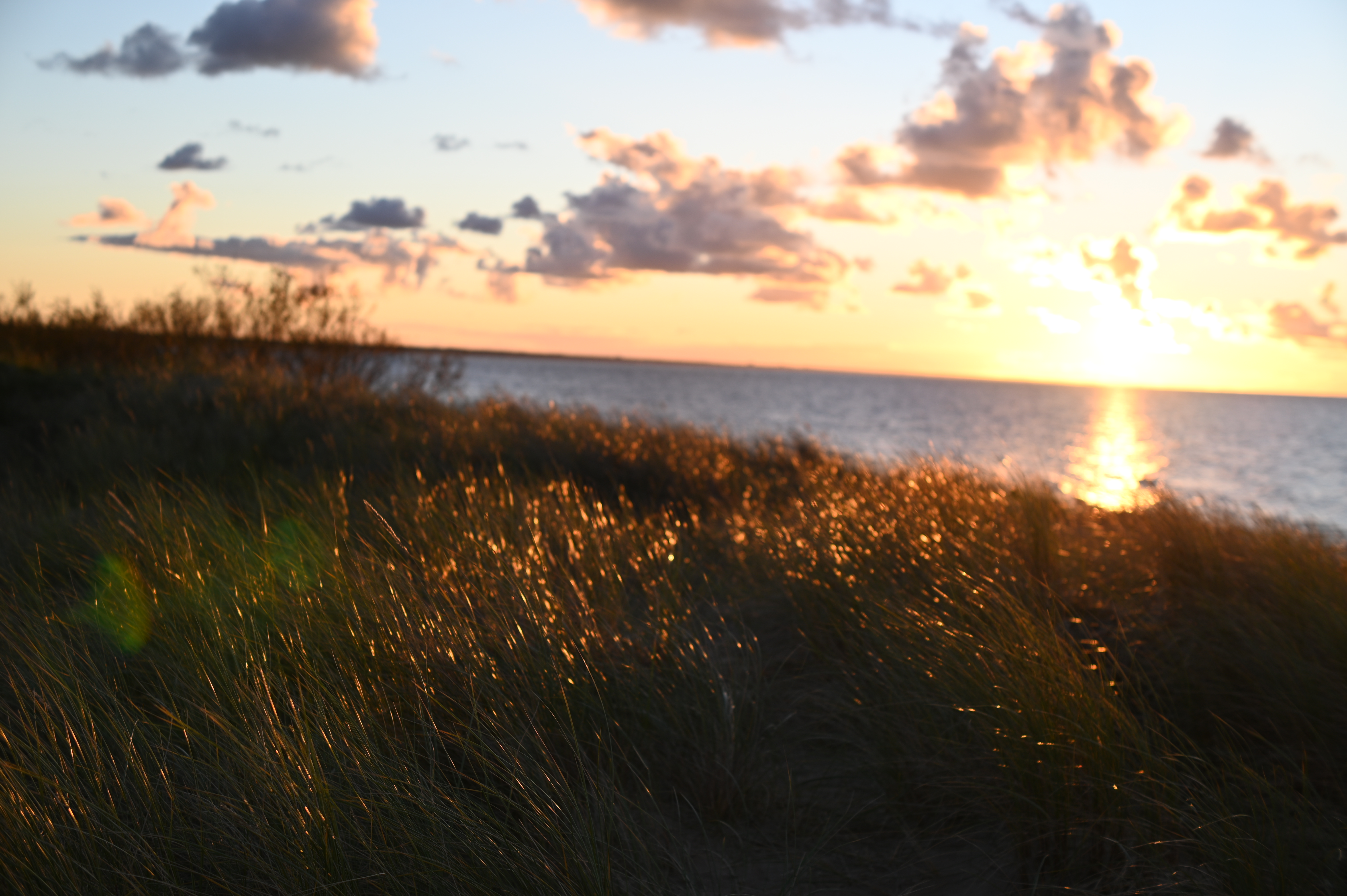 2025/10/18 - walk/DSC_0382.JPG